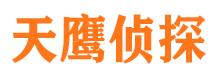 城固市调查公司